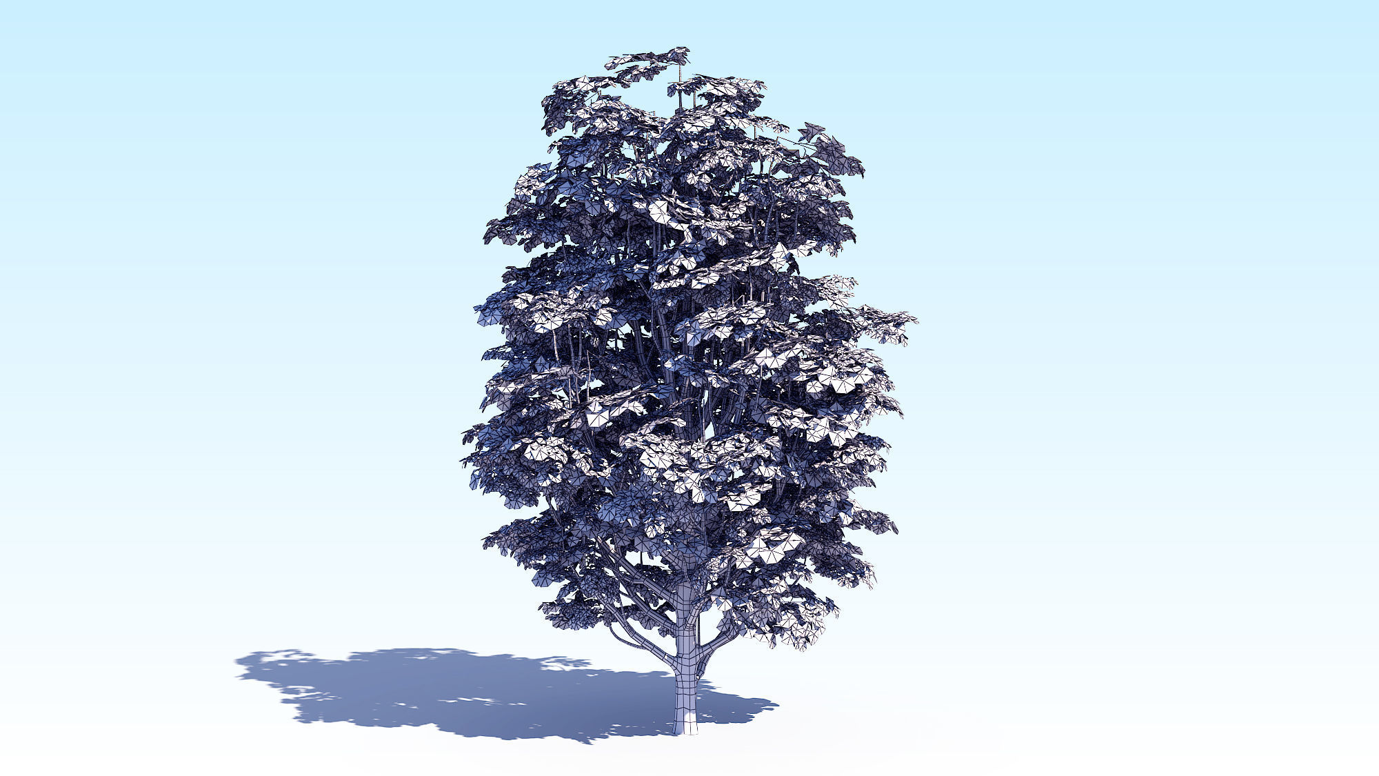 Maple Acer Tree 07 ArchViz 3D model_3