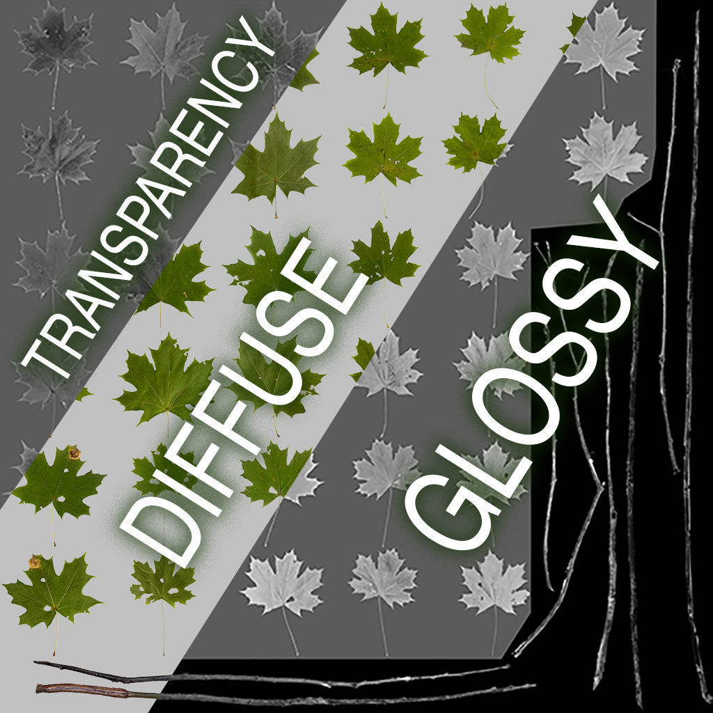 Maple Acer Tree 07 ArchViz 3D model_5