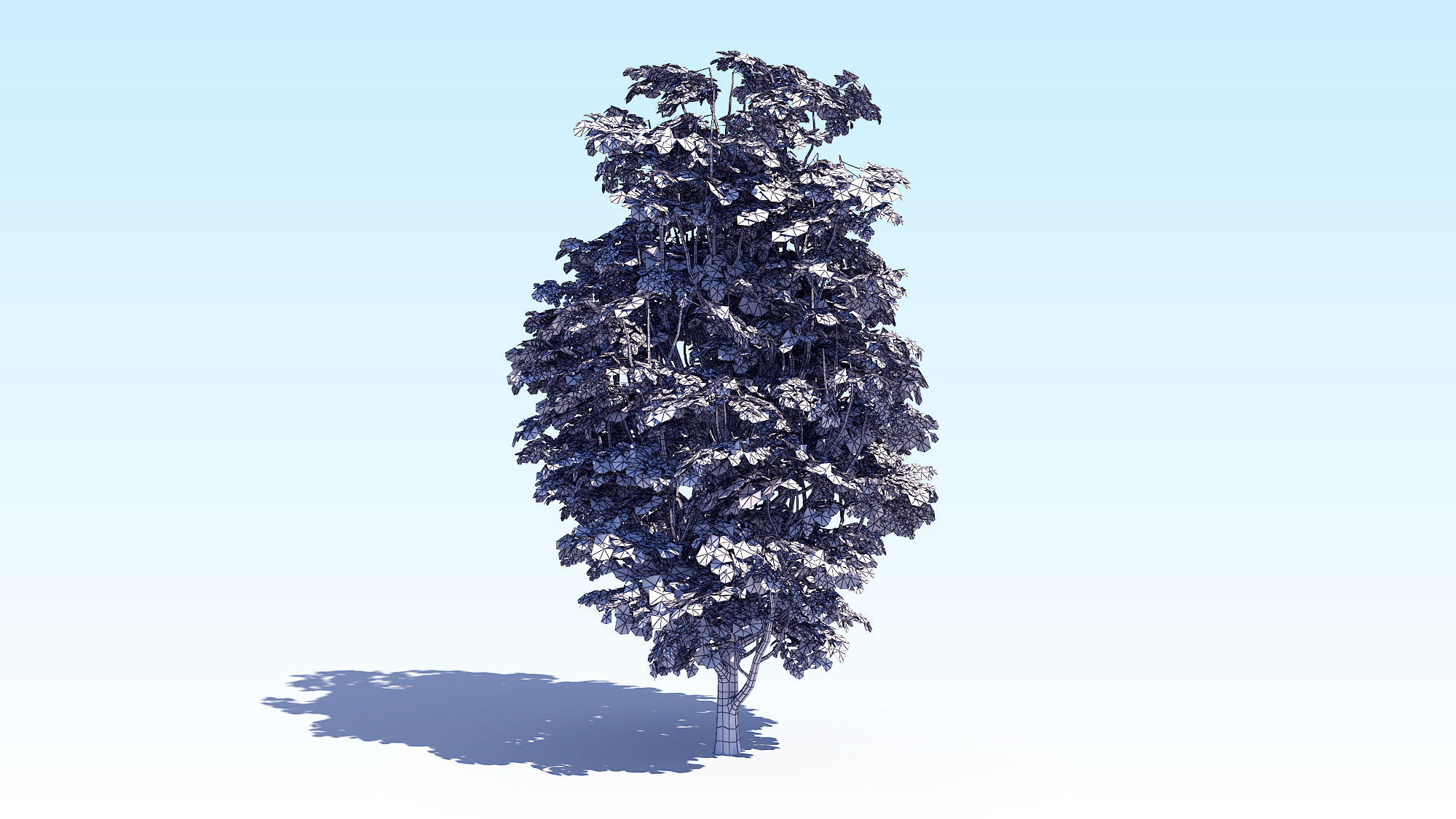 Maple Acer Tree 07 ArchViz 3D model_16