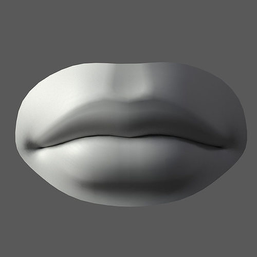 Lip Male  3D model