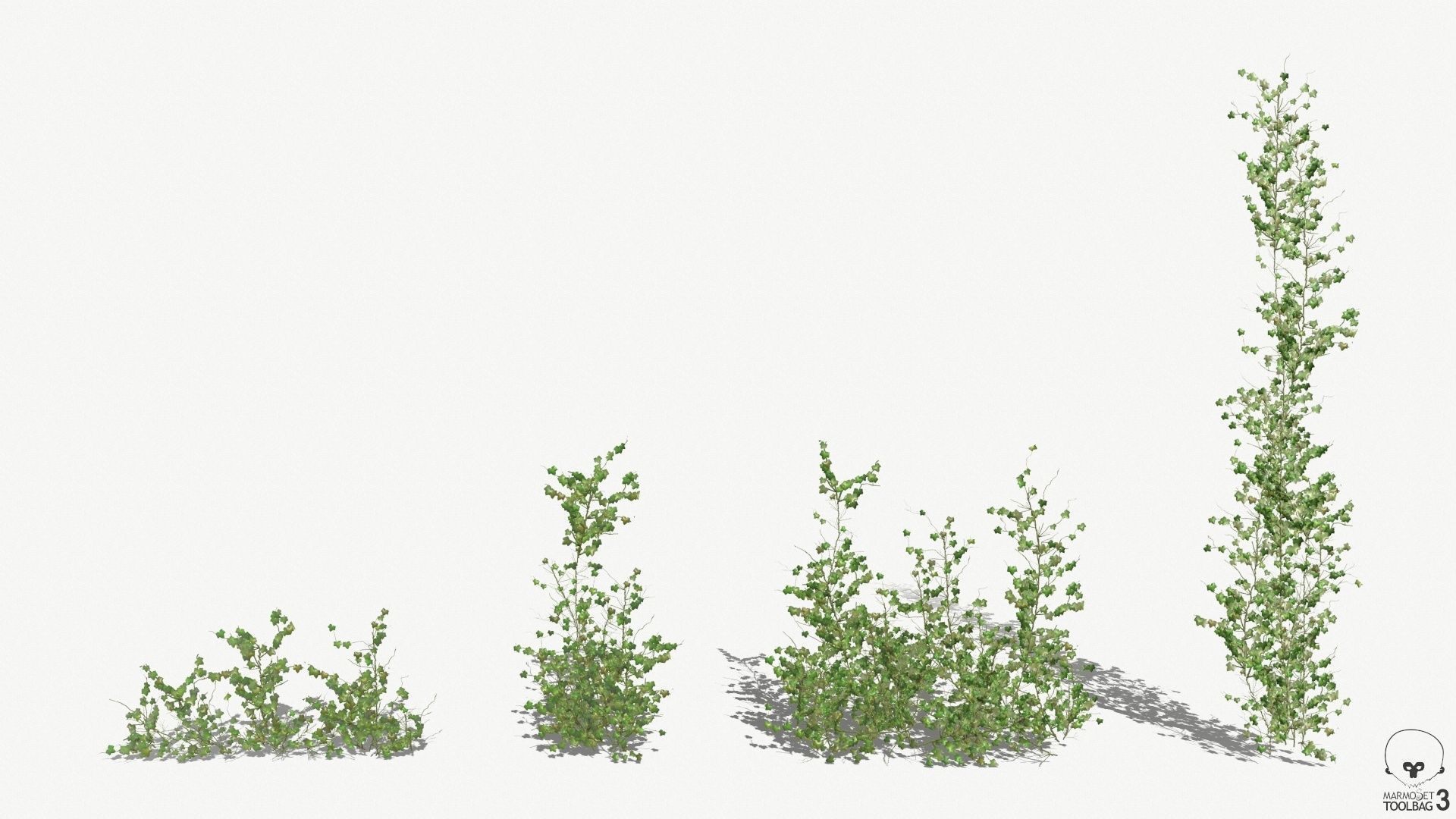 Ivy Modular Assets Low-poly 3D model_10