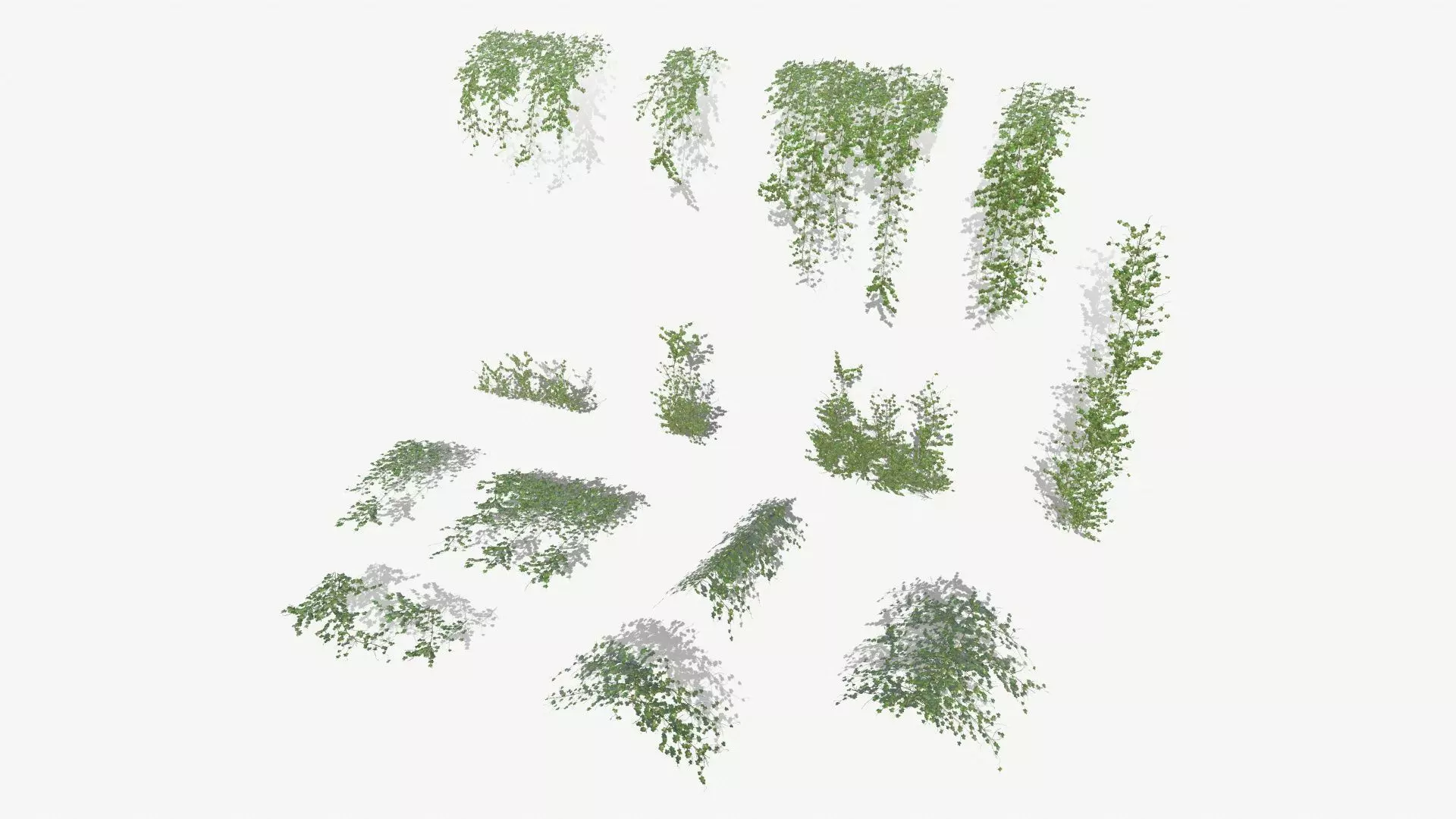 Ivy Modular Assets Low-poly 3D model_0