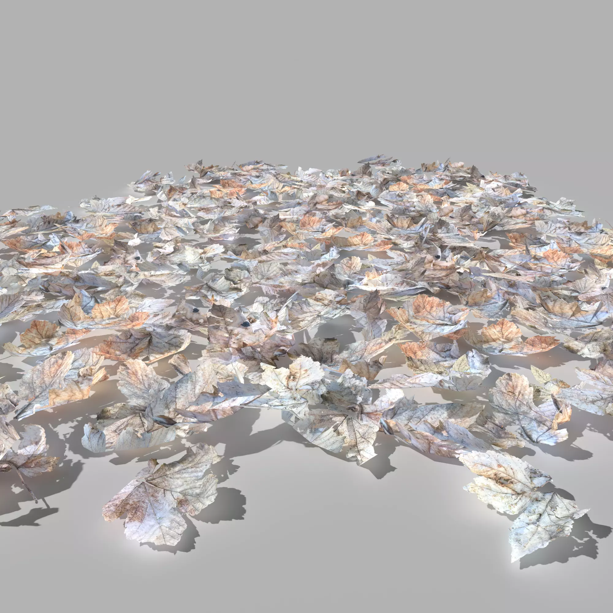 Dry Maple Leaves Pack Low-poly 3D model_0