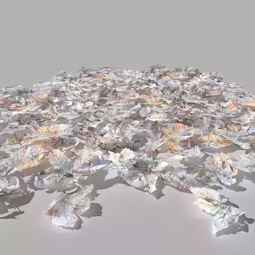 Dry Maple Leaves Pack