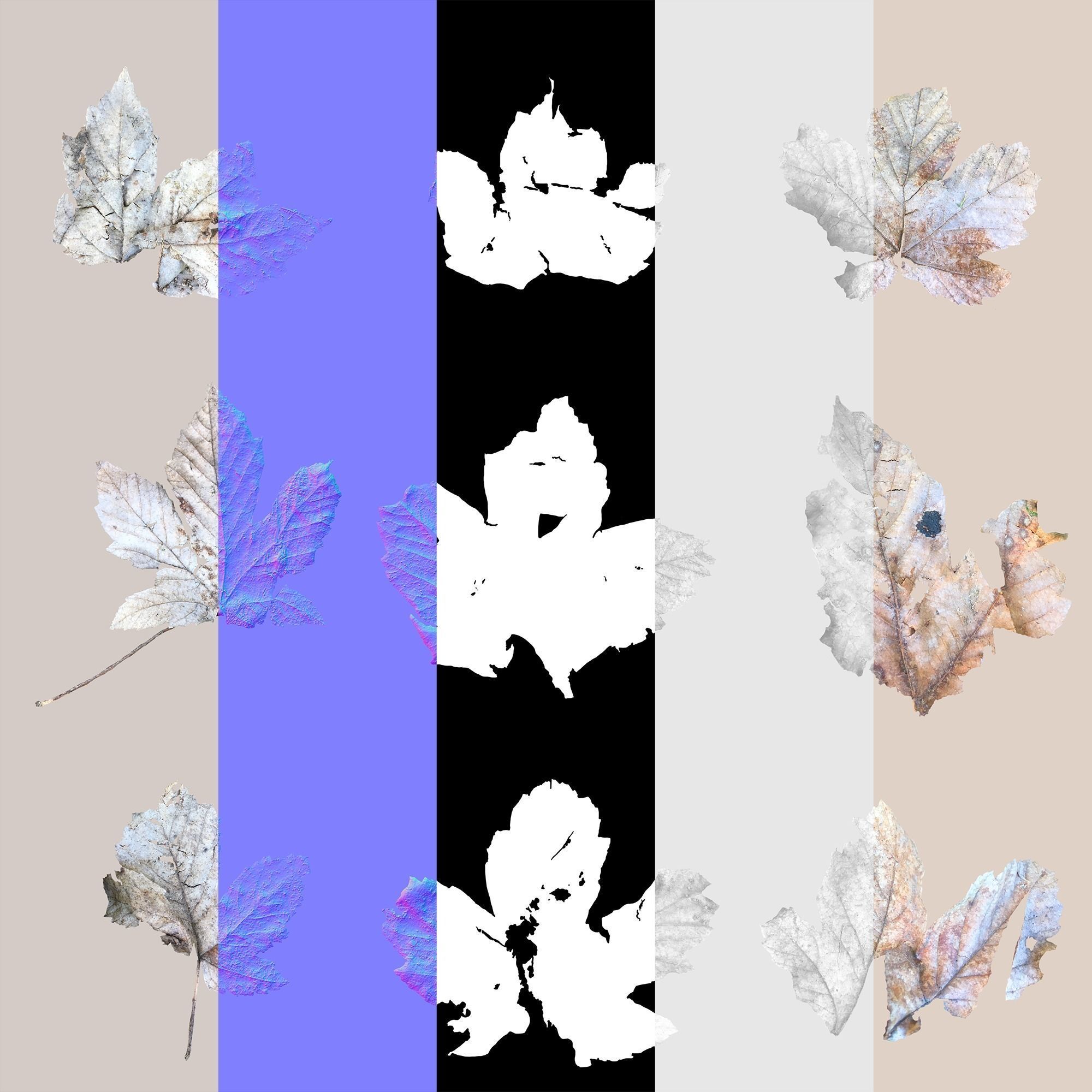 Dry Maple Leaves Pack Low-poly 3D model_9