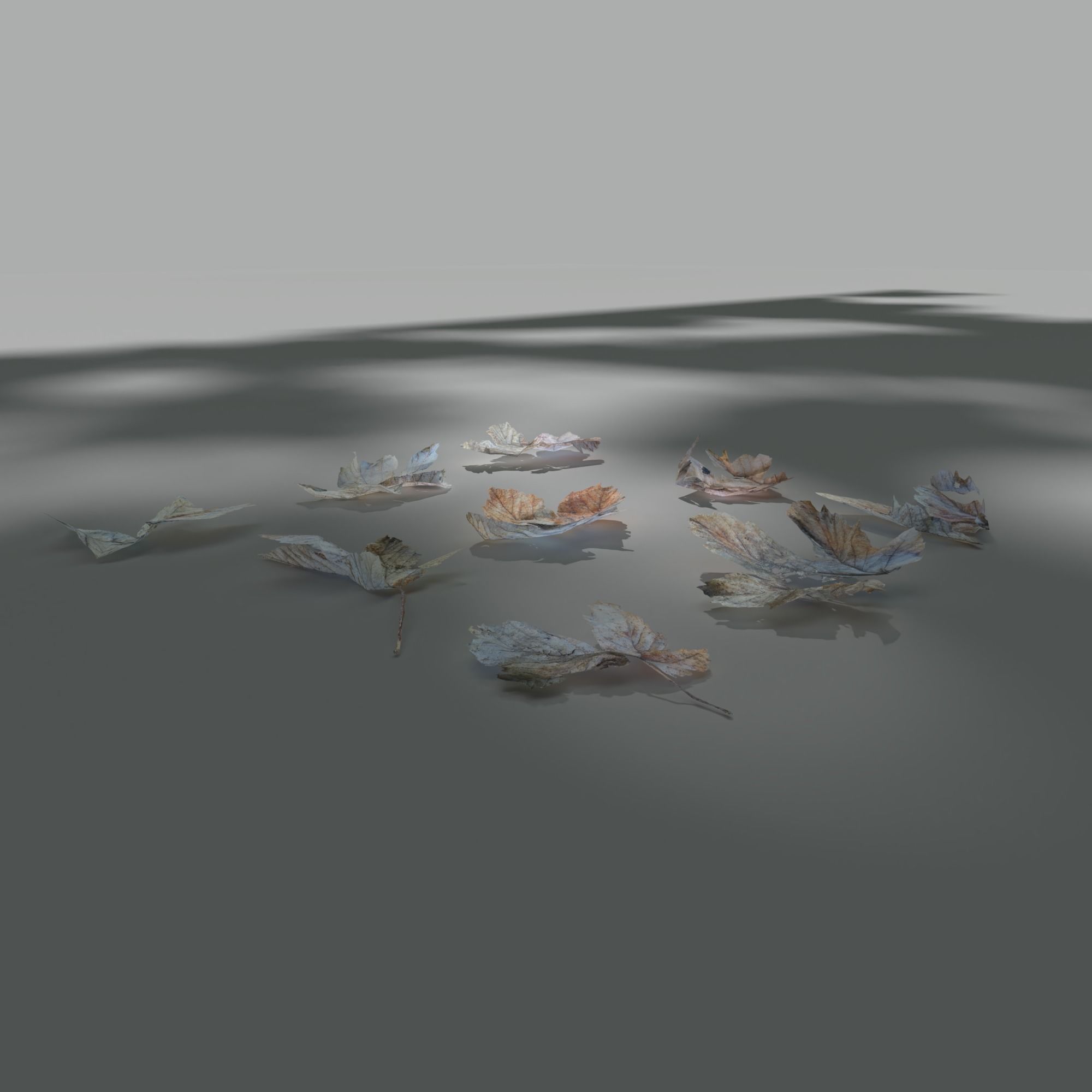 Dry Maple Leaves Pack Low-poly 3D model_5