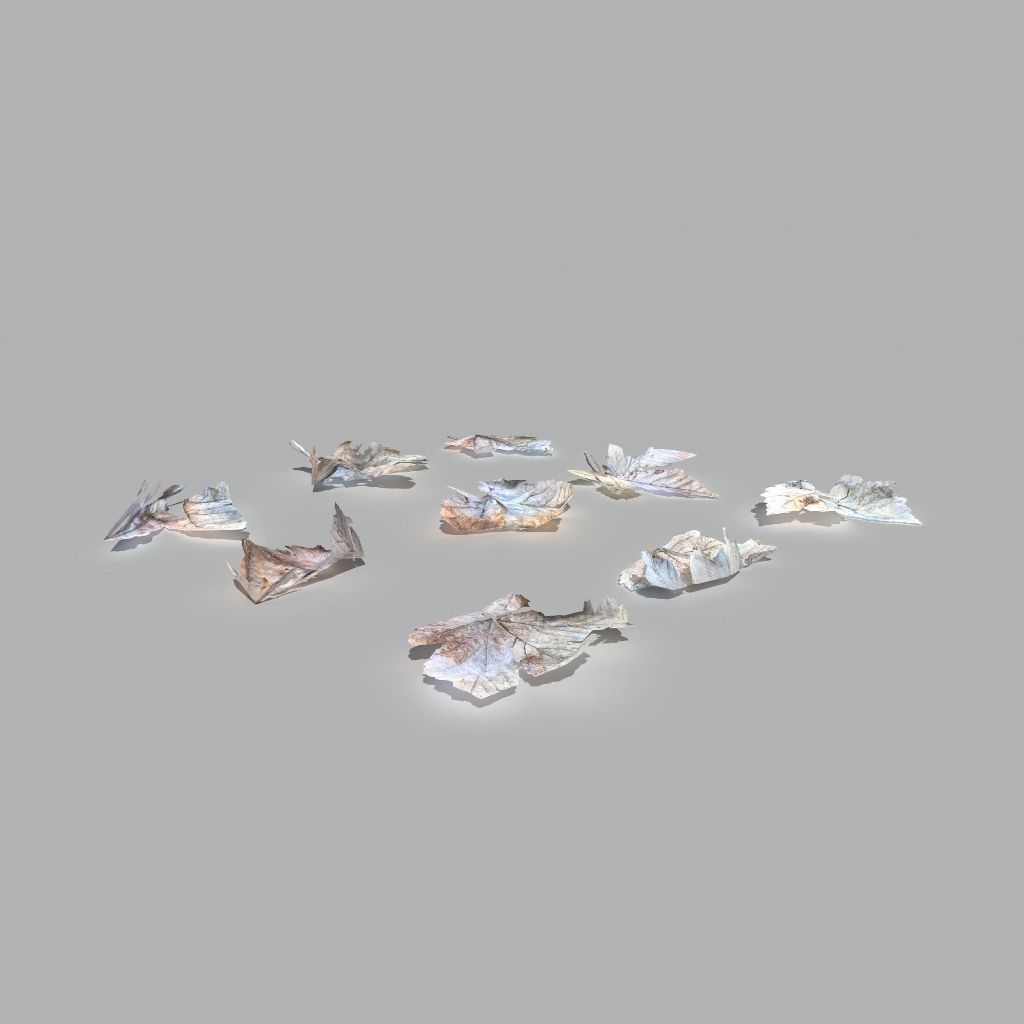 Dry Maple Leaves Pack Low-poly 3D model_6