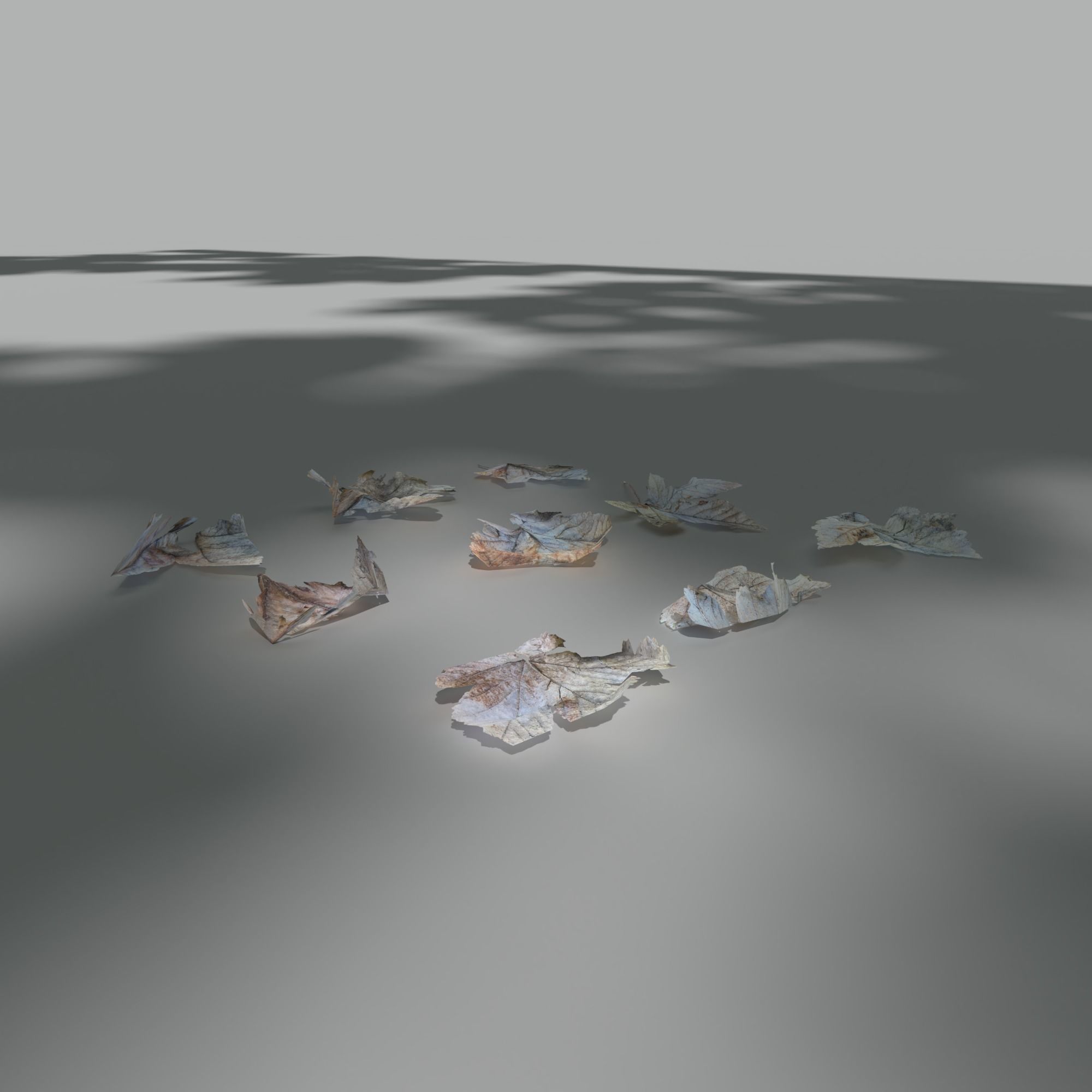 Dry Maple Leaves Pack Low-poly 3D model_7