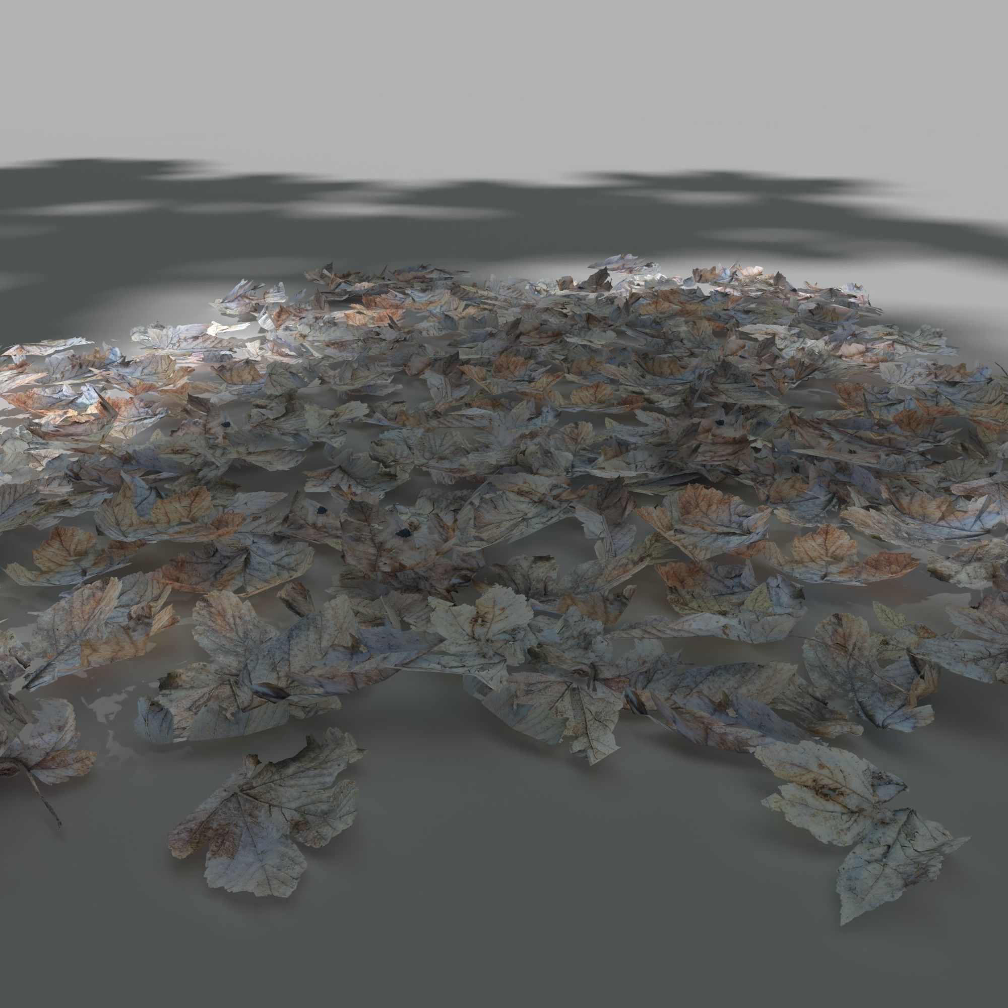 Dry Maple Leaves Pack Low-poly 3D model_1