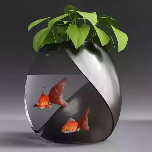 Aquarium fish tank with two goldfish in it