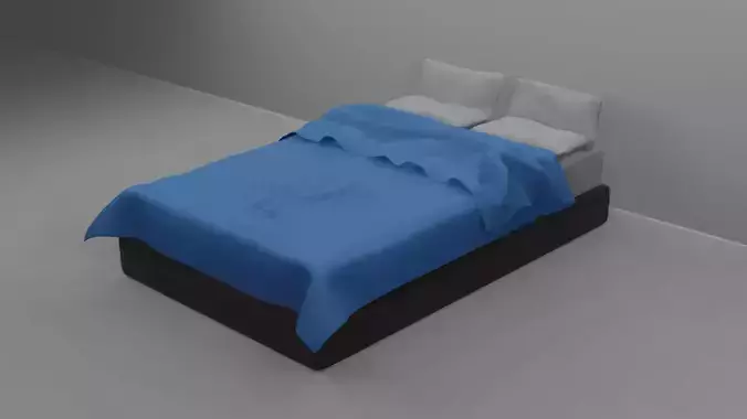 Bed with Pillow