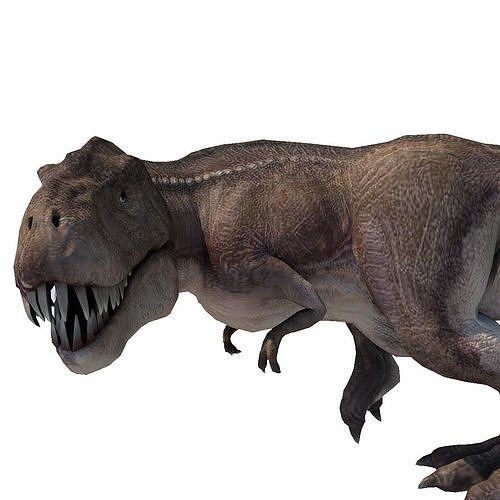 Realistic Tyranasaurus rex Low-poly 3D model
