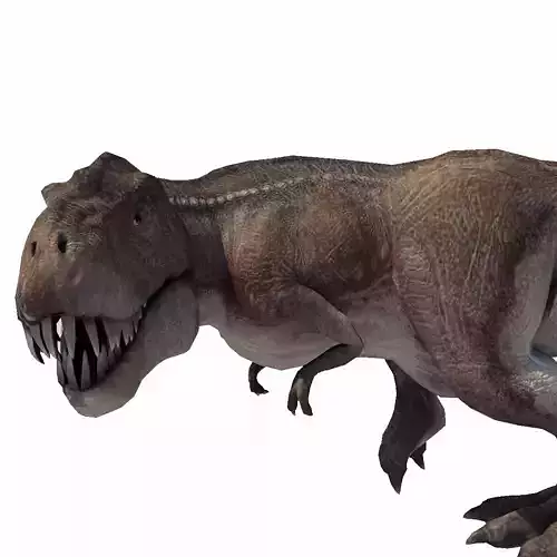 Realistic Tyranasaurus rex Low-poly 3D model