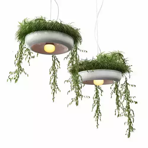 Chandelier with plants
