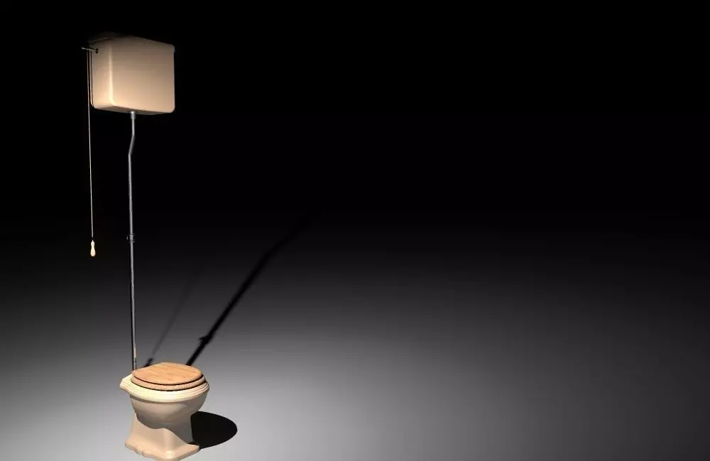 lavatory 2 toilet with light 3D model_0