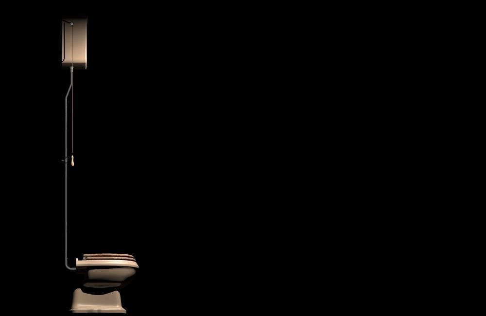 lavatory 2 toilet with light 3D model_1