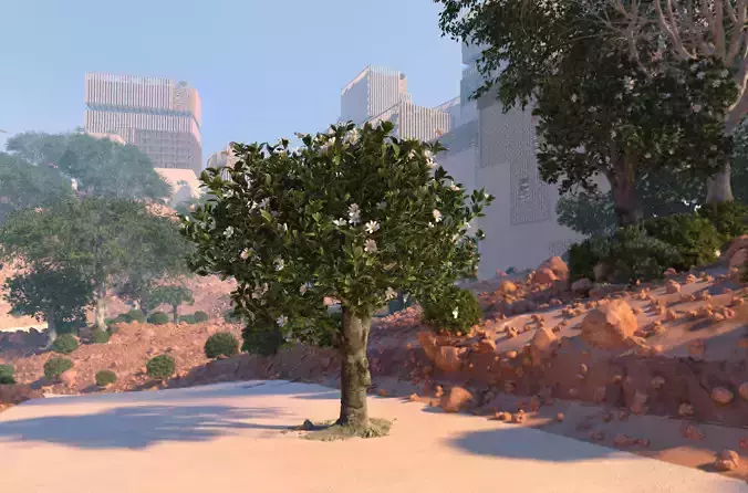 Ficus nitida decorative tree 3D model