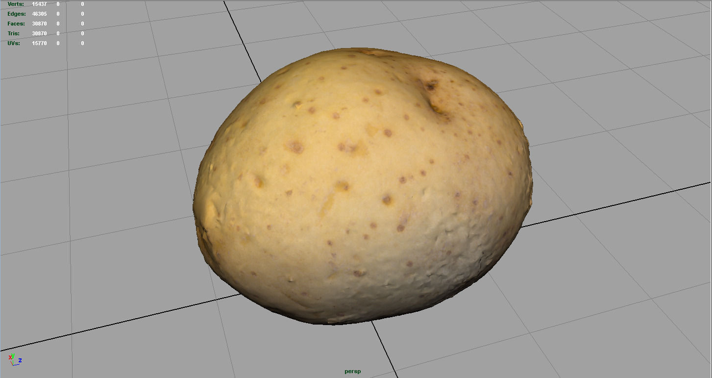 Realistic Potato 3D model_3