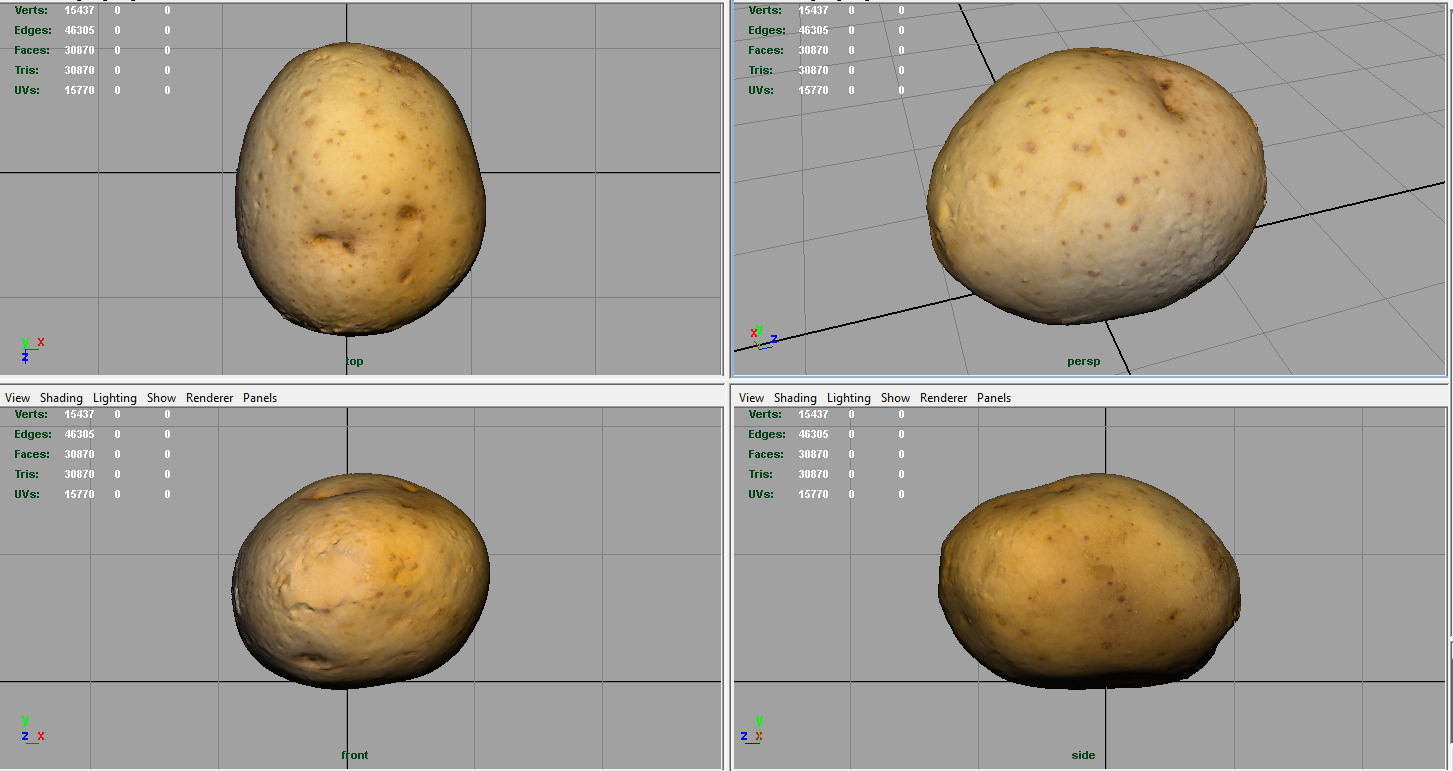 Realistic Potato 3D model_1