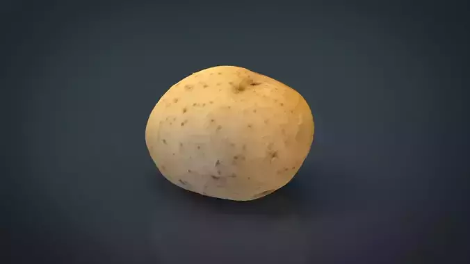 Realistic Potato 3D model
