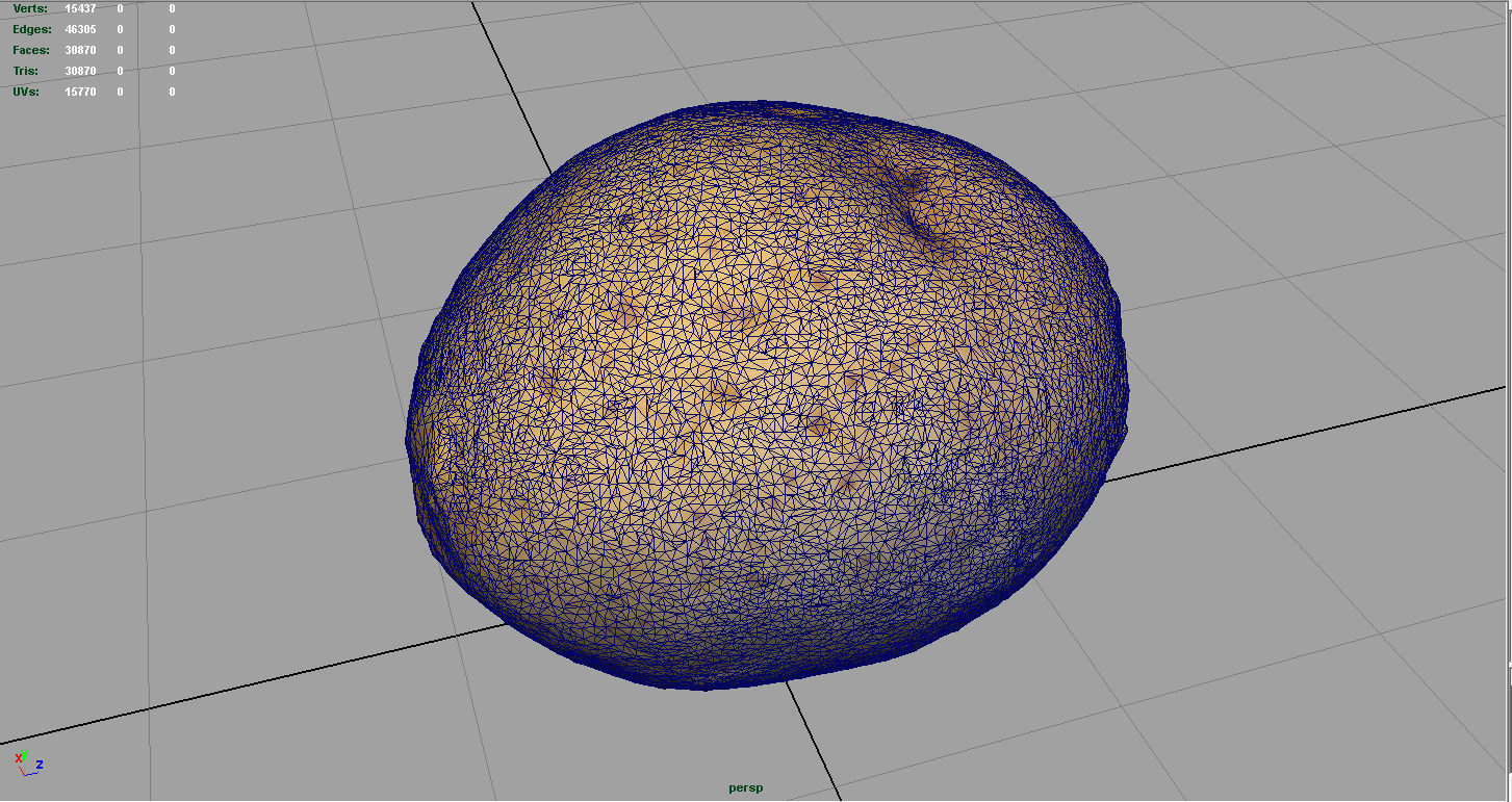 Realistic Potato 3D model_2
