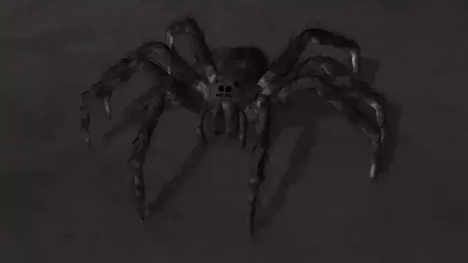 spider