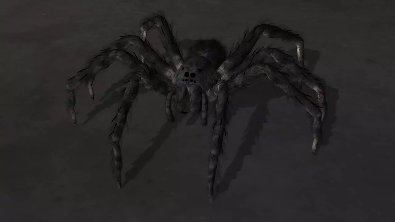 spider 3D model_0