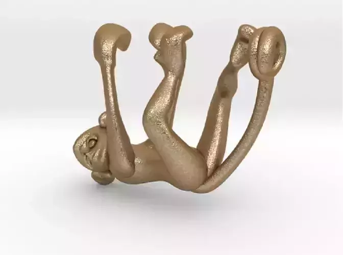 3D-Monkeys 142 3D print model