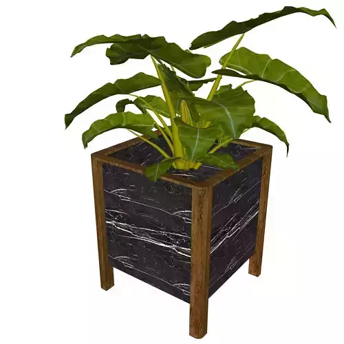 Black marble planter pot