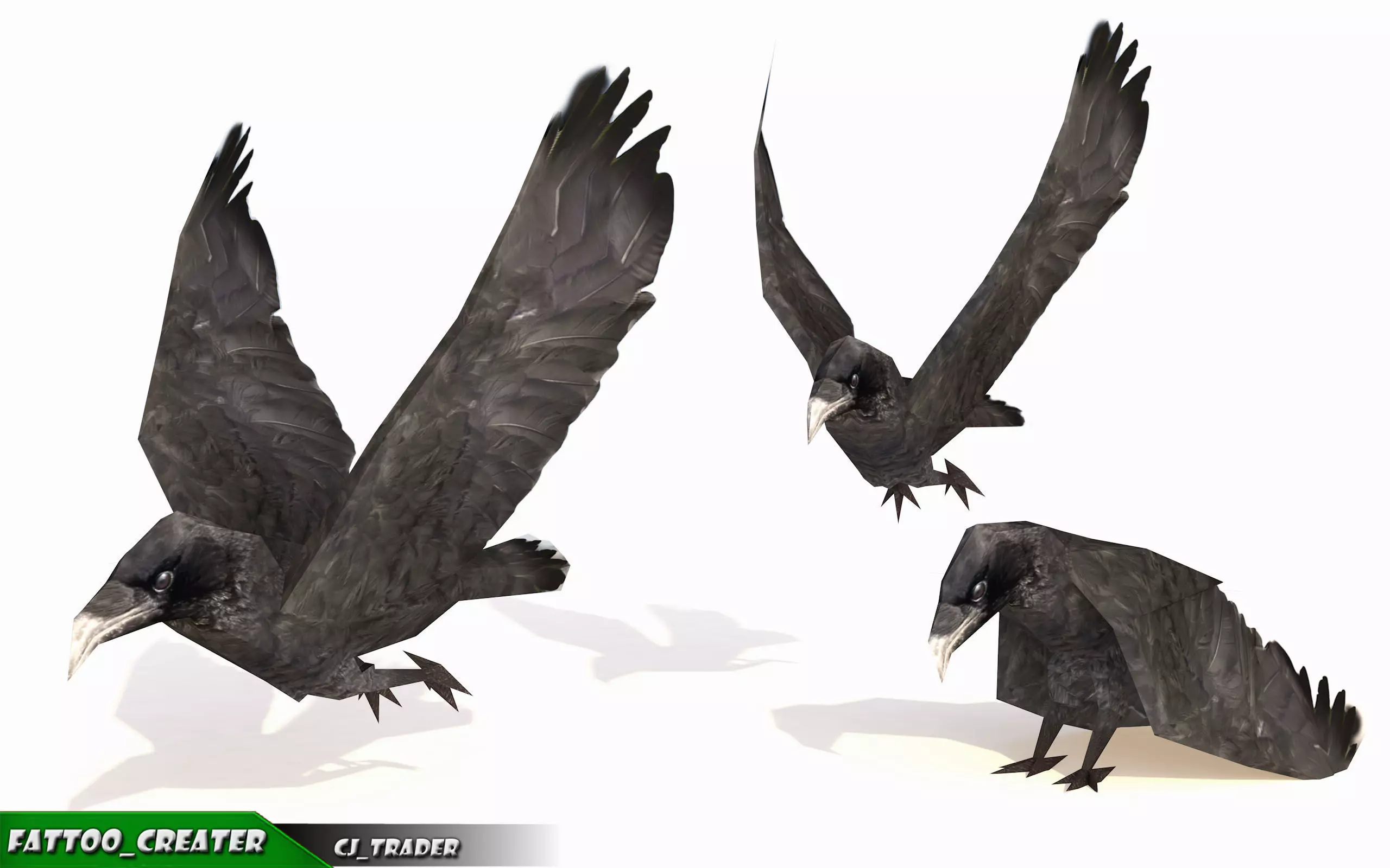 Low-poly Crow Rigged Animated 3D model Low-poly 3D model_0