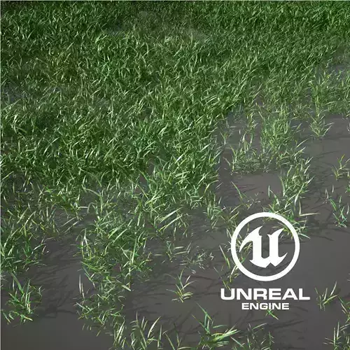 Realistic Grass 13 - UE4 Asset and FBX Files