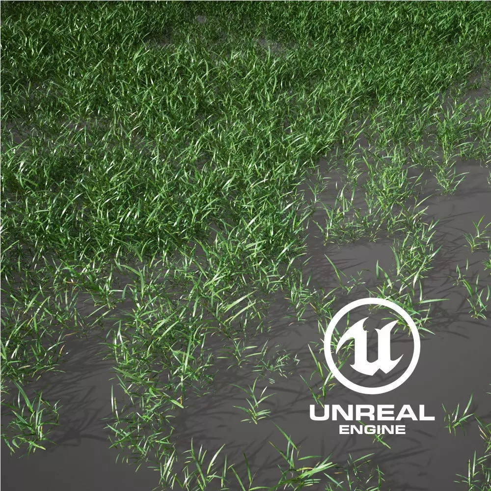 Realistic Grass 13 - UE4 Asset and FBX Files Low-poly 3D model