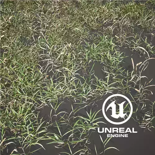 Realistic Grass 14 - UE4 Asset and FBX Files