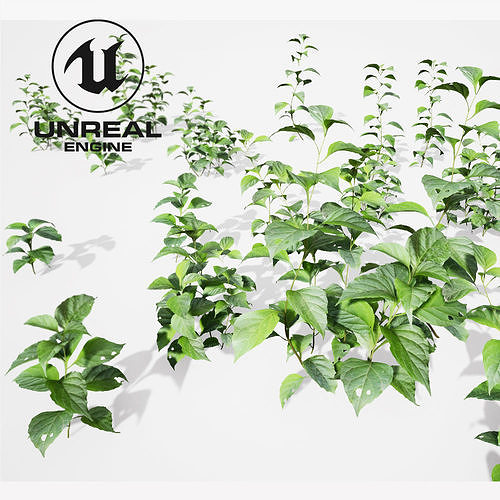 Realistic Plants 21- UE4 Asset and FBX Files Low-poly 3D model Low-poly 3D model