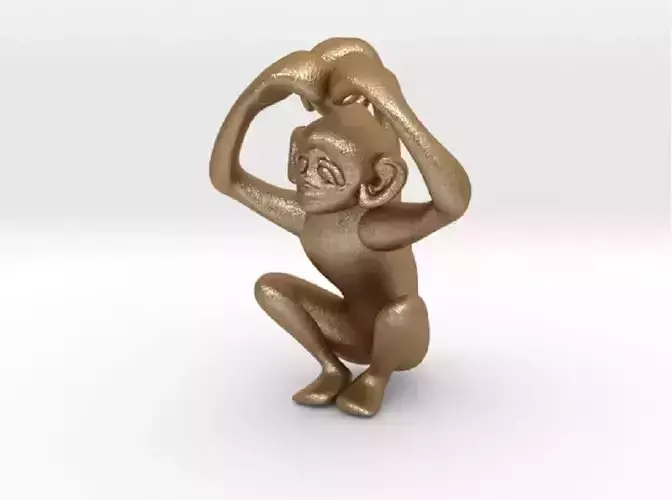 3D-Monkeys 160 3D print model