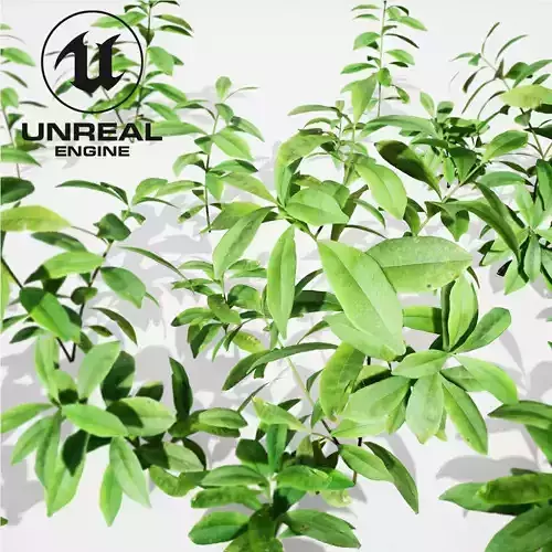 Realistic Plants 22- UE4 Asset and FBX Files Low-poly 3D model