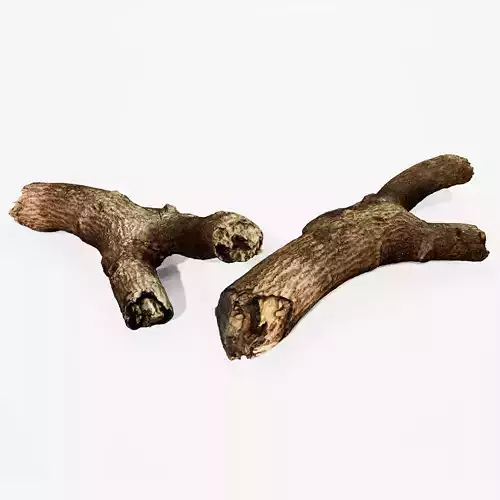 Realistic Stump 11- UE4 Asset and FBX Files Low-poly 3D model