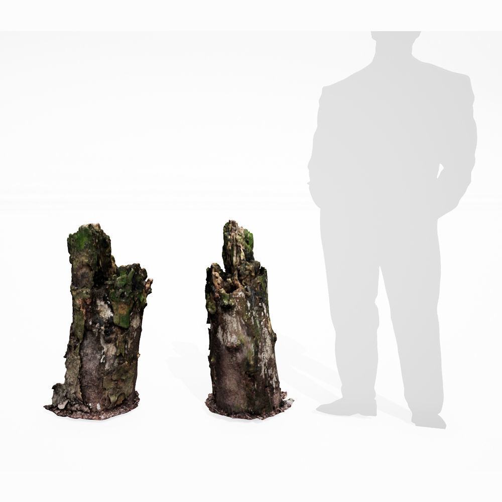 Realistic Stump 12- UE4 Asset and FBX Files Low-poly 3D model Low-poly 3D model_2