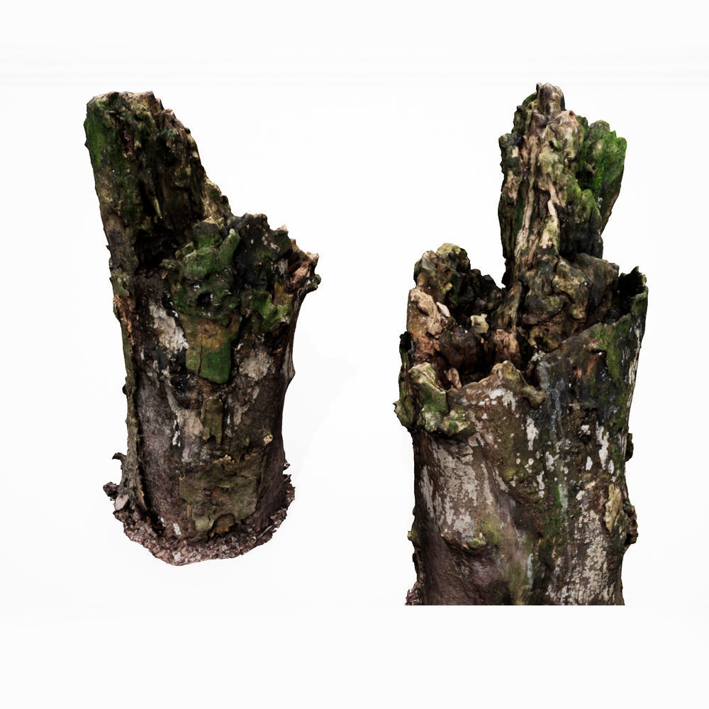 Realistic Stump 12- UE4 Asset and FBX Files Low-poly 3D model Low-poly 3D model_1