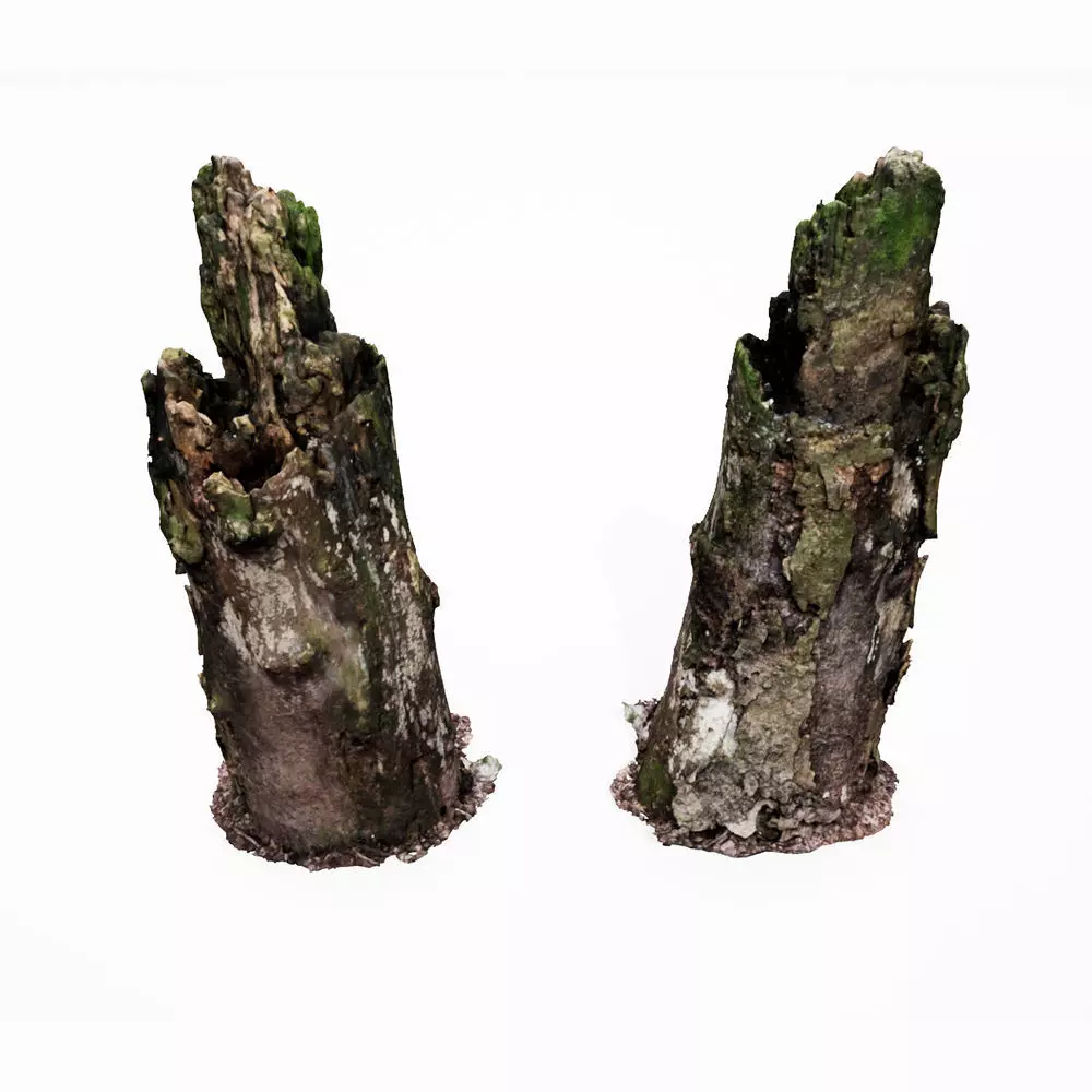 Realistic Stump 12- UE4 Asset and FBX Files Low-poly 3D model Low-poly 3D model_0