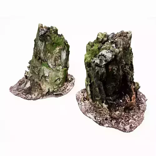 Realistic Stump 13- UE4 Asset and FBX Files Low-poly 3D model