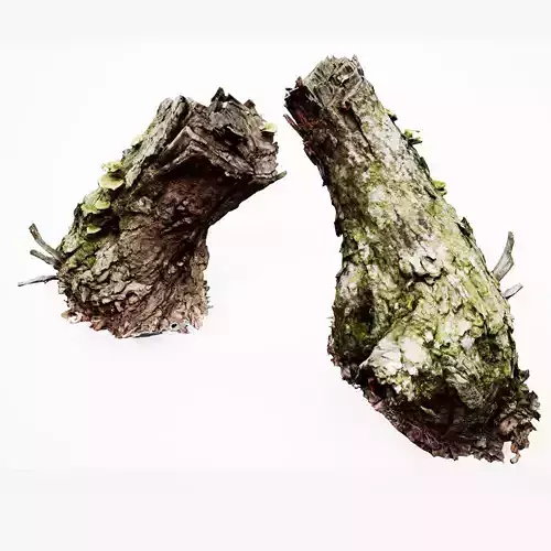 Realistic Stump 15- UE4 Asset and FBX Files Low-poly 3D model