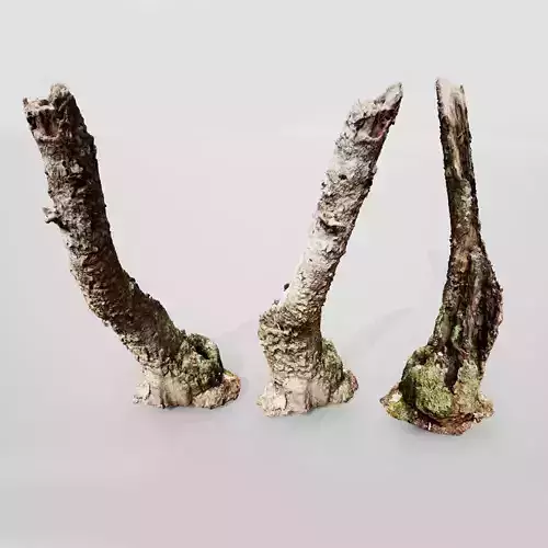 Realistic Stump 16- UE4 Asset and FBX Files Low-poly 3D model