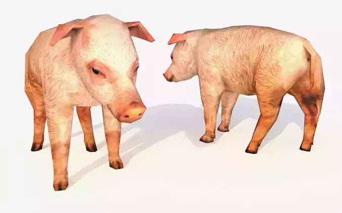 Low-Poly Pig Male Rigged 3D model