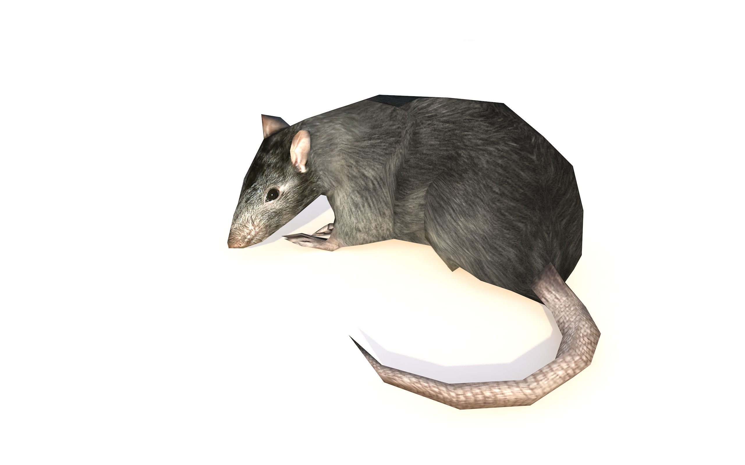Low-Poly Rat Rigged-Animated Mouse 3D Model Low-poly 3D model_4