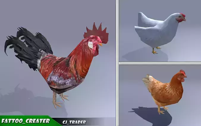 Low-Poly Chicken Collection Pack Rigged-Animated 3D Model Low-poly 3D model