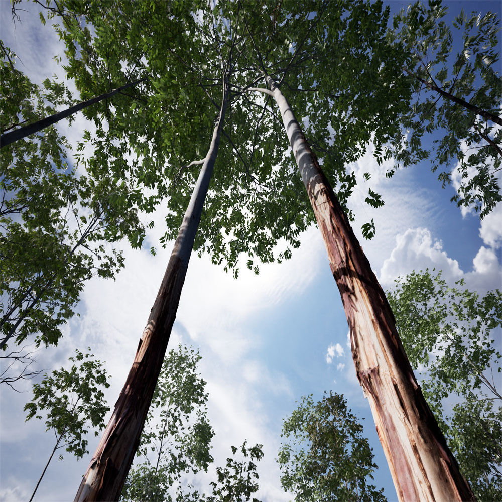 Realistic Tree 01- UE4 Asset and FBX Files Low-poly 3D model Low-poly 3D model_2