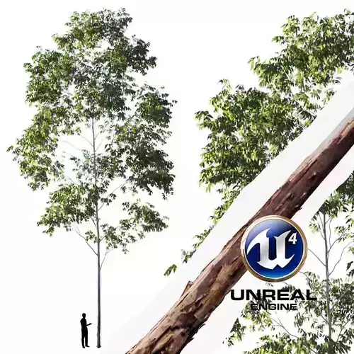 Realistic Tree 01- UE4 Asset and FBX Files Low-poly 3D model