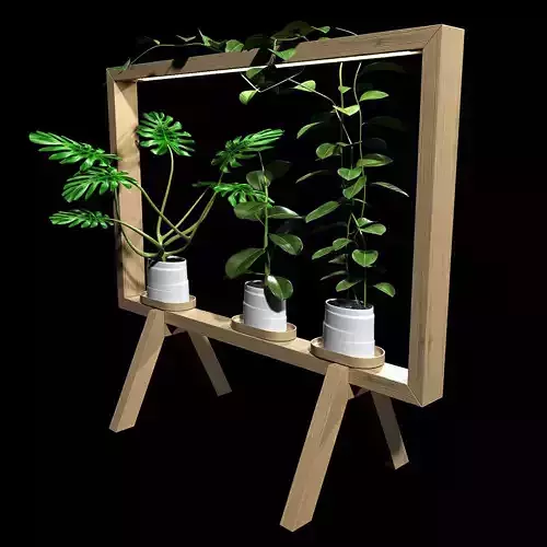 Plants set three potted on easel