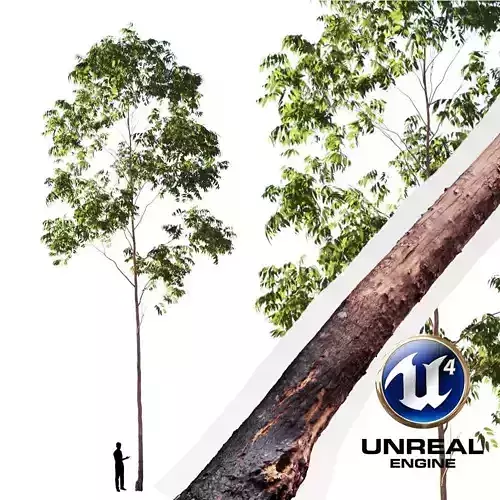 Realistic Tree 02- UE4 Asset and FBX Files Low-poly 3D model